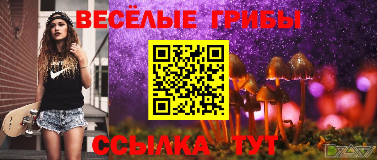 хочу   Вход с VPN  Шахты  Псилоцибиновые грибы прущие грибы 