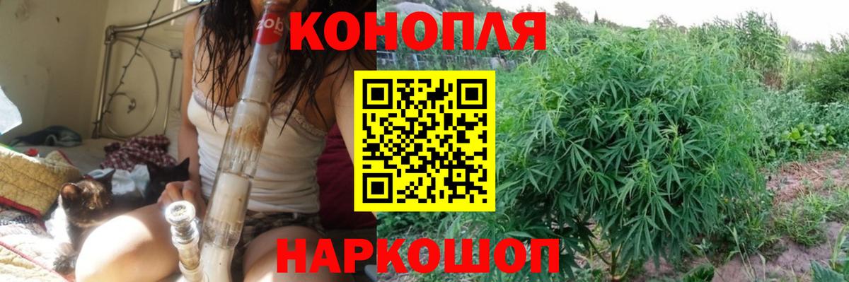 Бошки Шишки гибрид Шахты